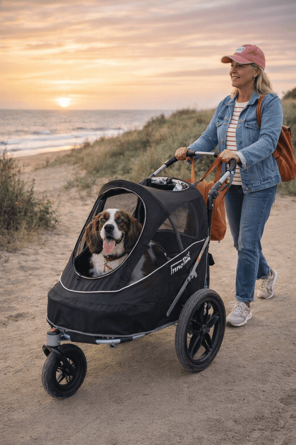 InnoPet Sporty EVR Dog Stroller & Bike Trailer | Free Rain Cover + Tow Bar-Pet Strollers-Innopet- Silver Circle Pets