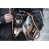 InnoPet Traveller Pet Carrier-Pet Accessories-Innopet- Silver Circle Pets