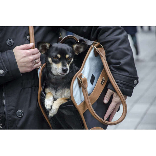 InnoPet Traveller Pet Carrier-Pet Accessories-Innopet- Silver Circle Pets