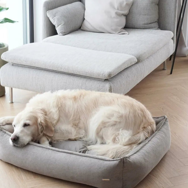 Labbvenn STRIPPO Dog Bed-Dog Bed-Labbvenn- Silver Circle Pets