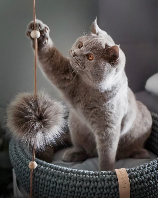 Labbvenn TOLLO Cat Toy-Cat Toy-Labbvenn- Silver Circle Pets