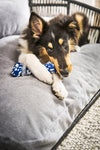 Laboni Luna Lounge Set Tudor Orthopaedic Dog Bed-Dog Bed-Laboni- Silver Circle Pets