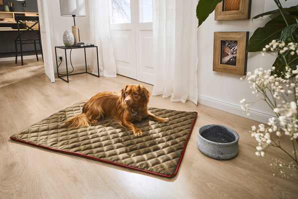 Laboni Multifunctional Outdoor and Travel Dog Blanket Oxford-Dog Blanket-Laboni- Silver Circle Pets