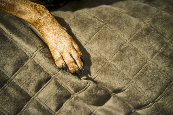 Laboni Multifunctional Outdoor and Travel Dog Blanket Oxford-Dog Blanket-Laboni- Silver Circle Pets