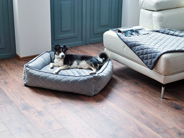 Laboni Multifunctional Outdoor and Travel Dog Blanket Oxford-Dog Blanket-Laboni- Silver Circle Pets