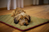 Laboni Multifunctional Outdoor and Travel Dog Blanket Oxford-Dog Blanket-Laboni- Silver Circle Pets
