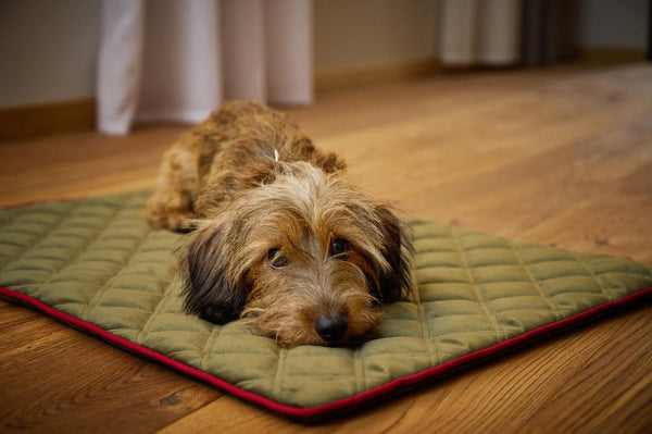 Laboni Multifunctional Outdoor and Travel Dog Blanket Oxford-Dog Blanket-Laboni- Silver Circle Pets