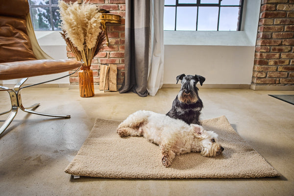 Laboni Multifunctional Outdoor and Travel Dog Blanket Teddy-Dog Blanket-Laboni- Silver Circle Pets