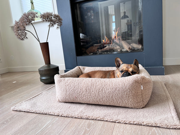 Laboni Multifunctional Outdoor and Travel Dog Blanket Teddy-Dog Blanket-Laboni- Silver Circle Pets