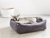 Laboni Orthopaedic Dog Bed Glam