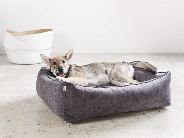 Laboni Orthopaedic Dog Bed Glam-Dog Bed-Laboni- Silver Circle Pets