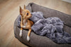 Laboni Orthopaedic Dog Bed Nova-Dog Bed-Laboni- Silver Circle Pets