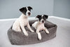 Laboni Orthopaedic Dog Bed Nova-Dog Bed-Laboni- Silver Circle Pets