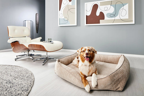 Laboni Orthopaedic Dog Bed Nova-Dog Bed-Laboni- Silver Circle Pets