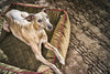 Laboni Orthopaedic Dog Bed Oxford-Dog Bed-Laboni- Silver Circle Pets