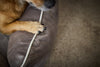 Laboni Orthopaedic Dog Bed Oxford-Dog Bed-Laboni- Silver Circle Pets