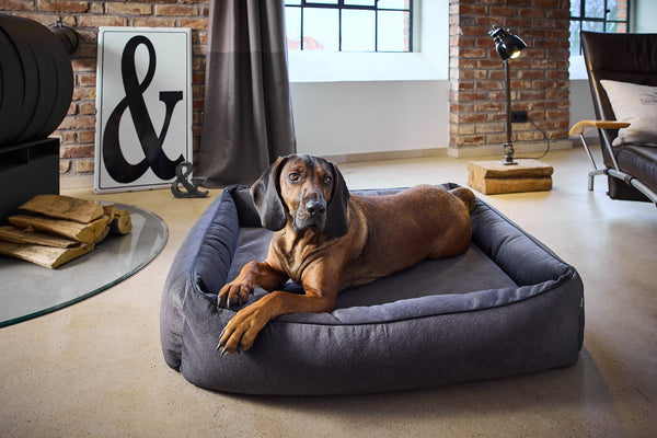 Laboni Orthopaedic Dog Bed Teddy-Dog Bed-Laboni- Silver Circle Pets