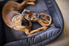 Laboni Orthopaedic Dog Bed Teddy-Dog Bed-Laboni- Silver Circle Pets