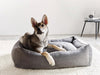 Laboni Orthopaedic Dog Bed Uno-Dog Bed-Laboni- Silver Circle Pets