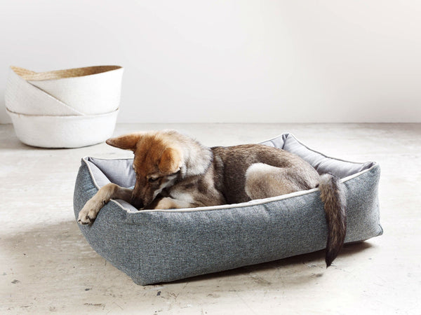 Laboni Scala Reversible Orthopaedic Dog Bed-Dog Bed-Laboni- Silver Circle Pets