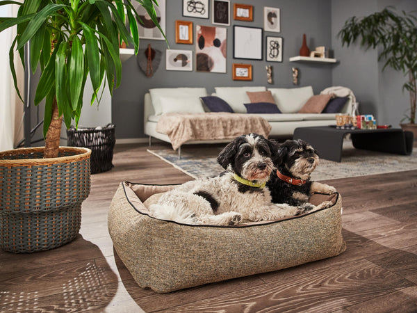 Laboni Scala Reversible Orthopaedic Dog Bed-Dog Bed-Laboni- Silver Circle Pets