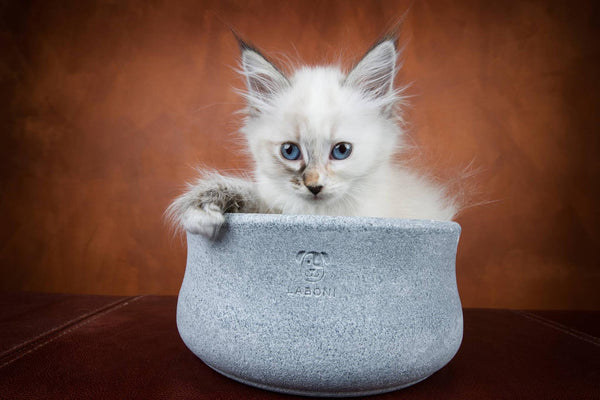 Laboni Soapstone Dog & Cat Bowl Rocky-Pet Bowls, Feeders & Waterers-Laboni- Silver Circle Pets
