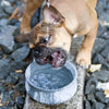 Laboni Soapstone Dog & Cat Bowl Rocky-Pet Bowls, Feeders & Waterers-Laboni- Silver Circle Pets