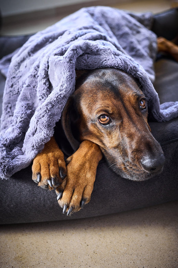 Laboni Woven Faux Fur Dog Blanket Cozy-Dog Blanket-Laboni- Silver Circle Pets
