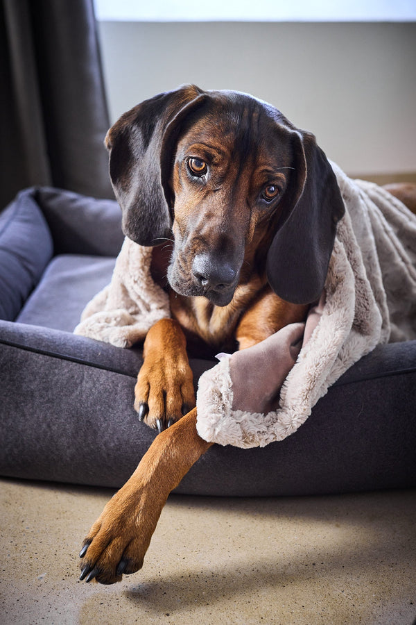 Laboni Woven Faux Fur Dog Blanket Cozy-Dog Blanket-Laboni- Silver Circle Pets