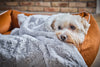 Laboni Woven Faux Fur Dog Blanket Cozy-Dog Blanket-Laboni- Silver Circle Pets