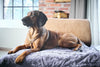 Laboni Woven Faux Fur Dog Blanket Cozy-Dog Blanket-Laboni- Silver Circle Pets