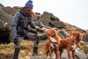 Long Paws - Human & Dog Walter Bottle Hiker Duo-Pet Bowls, Feeders & Waterers-Long Paws- Silver Circle Pets