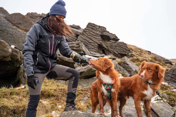 Long Paws - Human & Dog Walter Bottle Hiker Duo-Pet Bowls, Feeders & Waterers-Long Paws- Silver Circle Pets