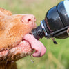 Long Paws - Human & Dog Walter Bottle Hiker Duo-Pet Bowls, Feeders & Waterers-Long Paws- Silver Circle Pets