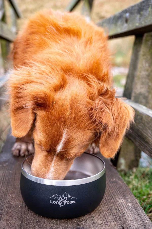 Long Paws - Lunar Bowl Set-Pet Bowls, Feeders & Waterers-Long Paws- Silver Circle Pets