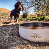 Long Paws - Lunar Bowl Set-Pet Bowls, Feeders & Waterers-Long Paws- Silver Circle Pets