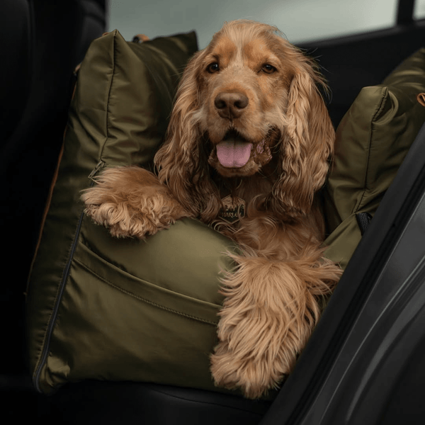 Luther Bennett ISOFIX Travel Dog Car Seat 2.0-Pet Car Seat-Luther Bennett- Silver Circle Pets