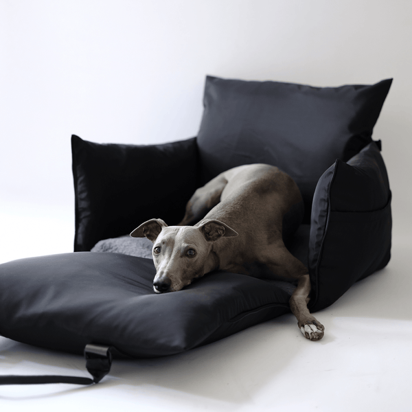 Luther Bennett ISOFIX Travel Dog Car Seat 2.0-Pet Car Seat-Luther Bennett- Silver Circle Pets