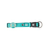 Max & Molly Matrix 2.0 Ultra LED Dog Collar Safety Light | USB-C Rechargeable-Pet Accessories-Max & Molly- Silver Circle Pets