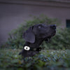 Max & Molly Matrix 2.0 Ultra LED Dog Collar Safety Light | USB-C Rechargeable-Pet Accessories-Max & Molly- Silver Circle Pets