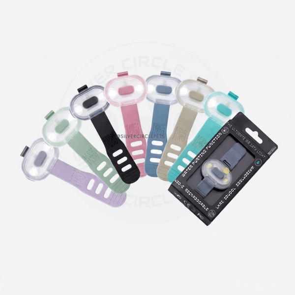 Max & Molly Matrix 2.0 Ultra LED Dog Collar Safety Light | USB-C Rechargeable-Pet Accessories-Max & Molly- Silver Circle Pets