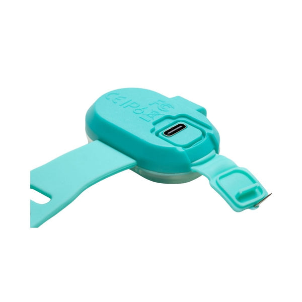 Max & Molly Matrix 2.0 Ultra LED Dog Collar Safety Light | USB-C Rechargeable-Pet Accessories-Max & Molly- Silver Circle Pets