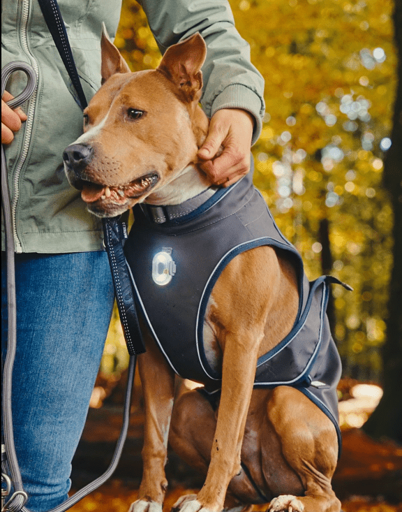 Max & Molly Matrix 2.0 Ultra LED Dog Collar Safety Light | USB-C Rechargeable-Pet Accessories-Max & Molly- Silver Circle Pets