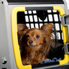 MIMSafe Care2 Hard-Shell Pet Carrier & Car Seat | Crash Tested | 2-in-1 | Medium-Pet Carrier-MIMSafe- Silver Circle Pets