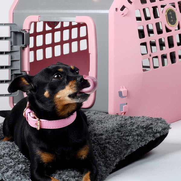 MIMSafe Care2 Hard-Shell Pet Carrier & Car Seat | Crash Tested | 2-in-1 | Medium-Pet Carrier-MIMSafe- Silver Circle Pets