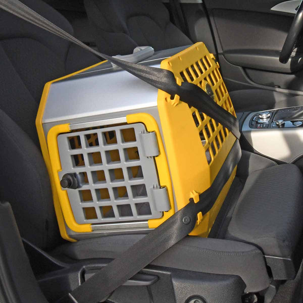 MIMSafe Care2 Hard-Shell Pet Carrier & Car Seat | Crash Tested | 2-in-1 | Medium-Pet Carrier-MIMSafe- Silver Circle Pets