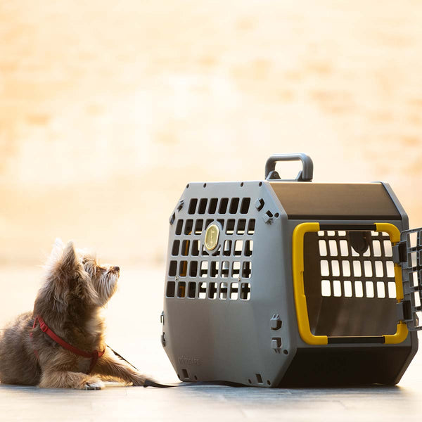 MIMSafe Care2 Hard-Shell Pet Carrier & Car Seat | Crash Tested | 2-in-1 | Medium-Pet Carrier-MIMSafe- Silver Circle Pets