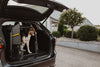MIMsafe VarioCage Single XX-Large | 4th Gen Adjustable Dog Car Crate | Crash Tested-Dog Crate-MIMSafe- Silver Circle Pets