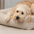 Labbvenn MOE Dog Bed Sand - Silver Circle Pets