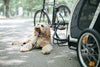 AirBuggy Nest Dog Bike Trailer & Pet Stroller | Spacious Cot | Slim Fold